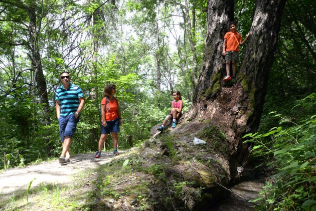 Création des sites internet / web, photographie & vidéo - Sion - Martigny - Sierre - Valais
