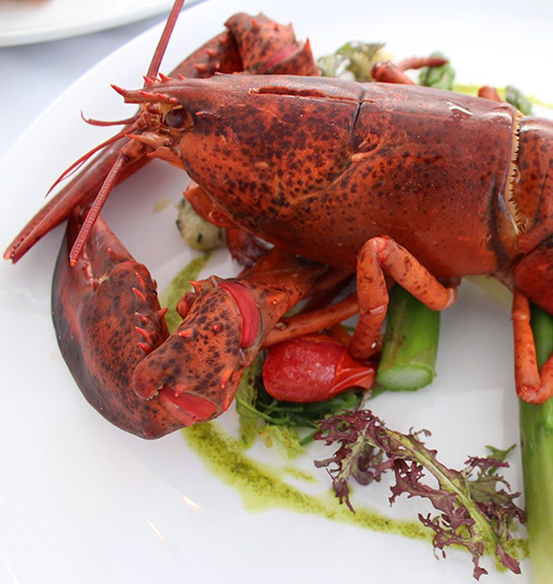 Création des sites internet / web, photographie & vidéo - Sion - Martigny - Sierre - Valais