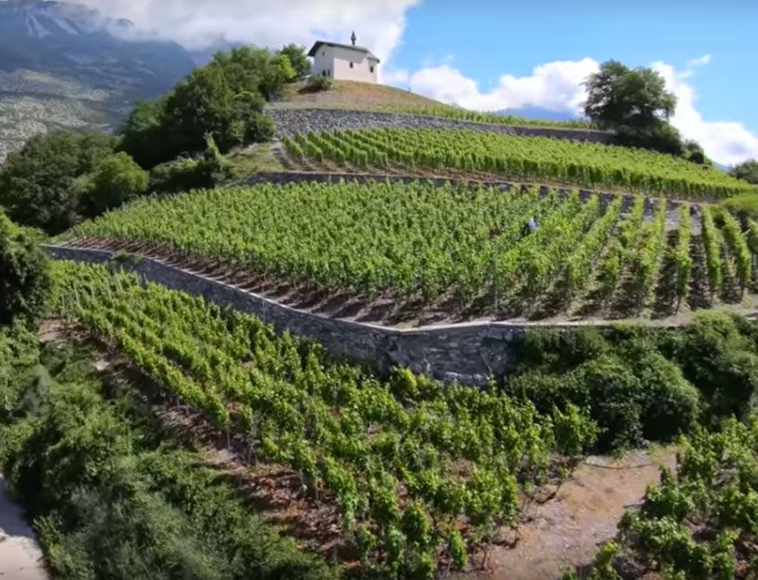 Création des sites internet / web, photographie & vidéo - Sion - Martigny - Sierre - Valais